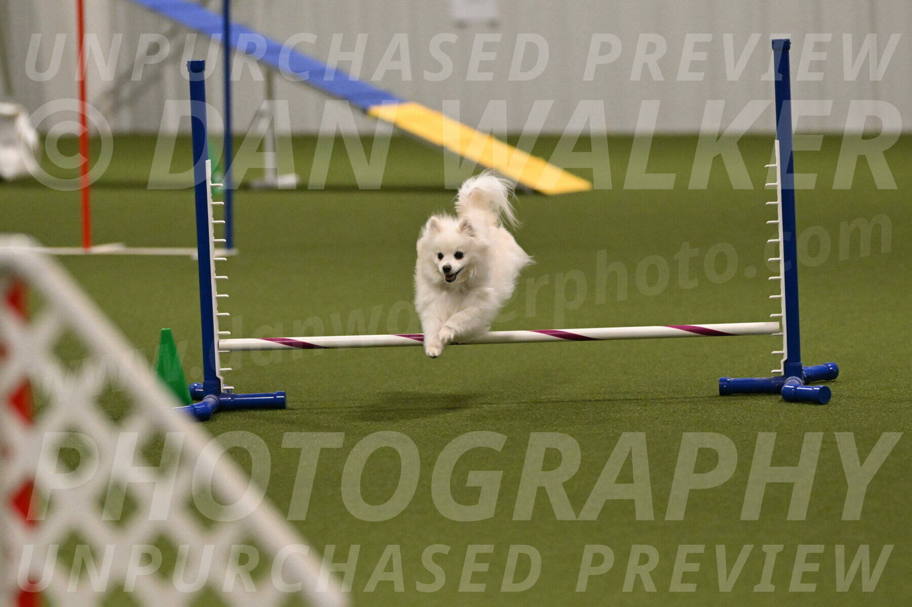 Zoey-Denise-Schneider-08578