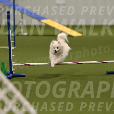 Zoey-Denise-Schneider-08578