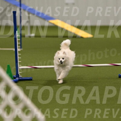 Zoey-Denise-Schneider-08579