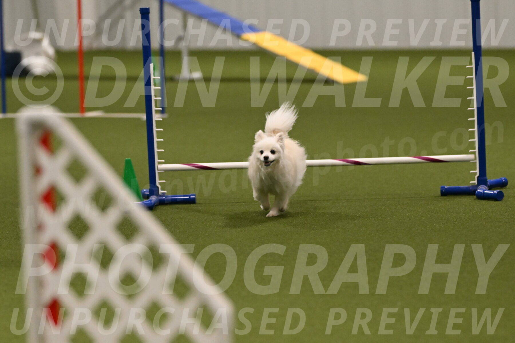 Zoey-Denise-Schneider-08580