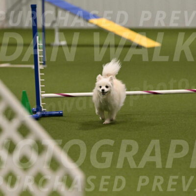 Zoey-Denise-Schneider-08580