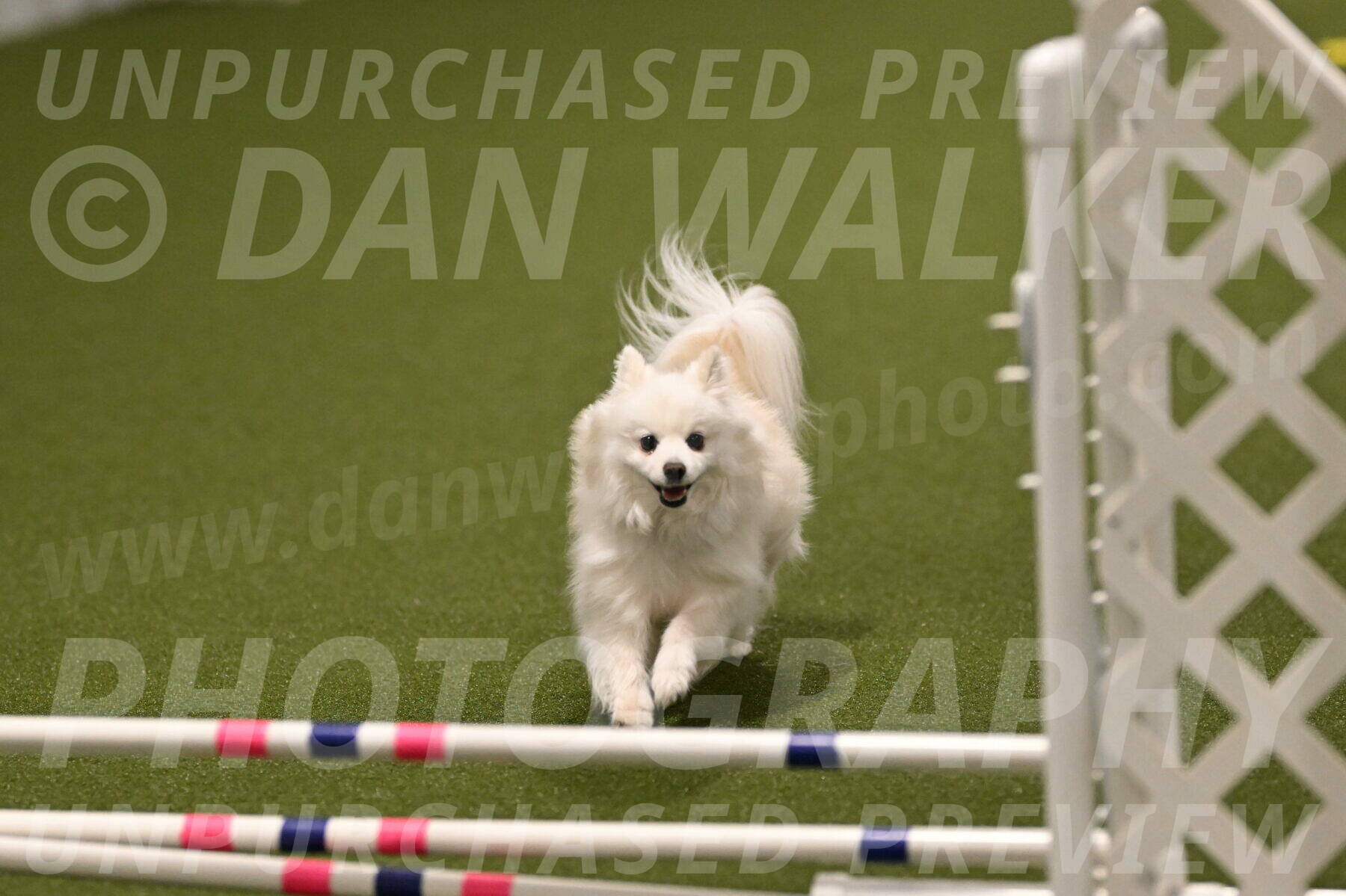 Zoey-Denise-Schneider-08581