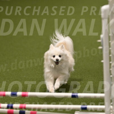 Zoey-Denise-Schneider-08581