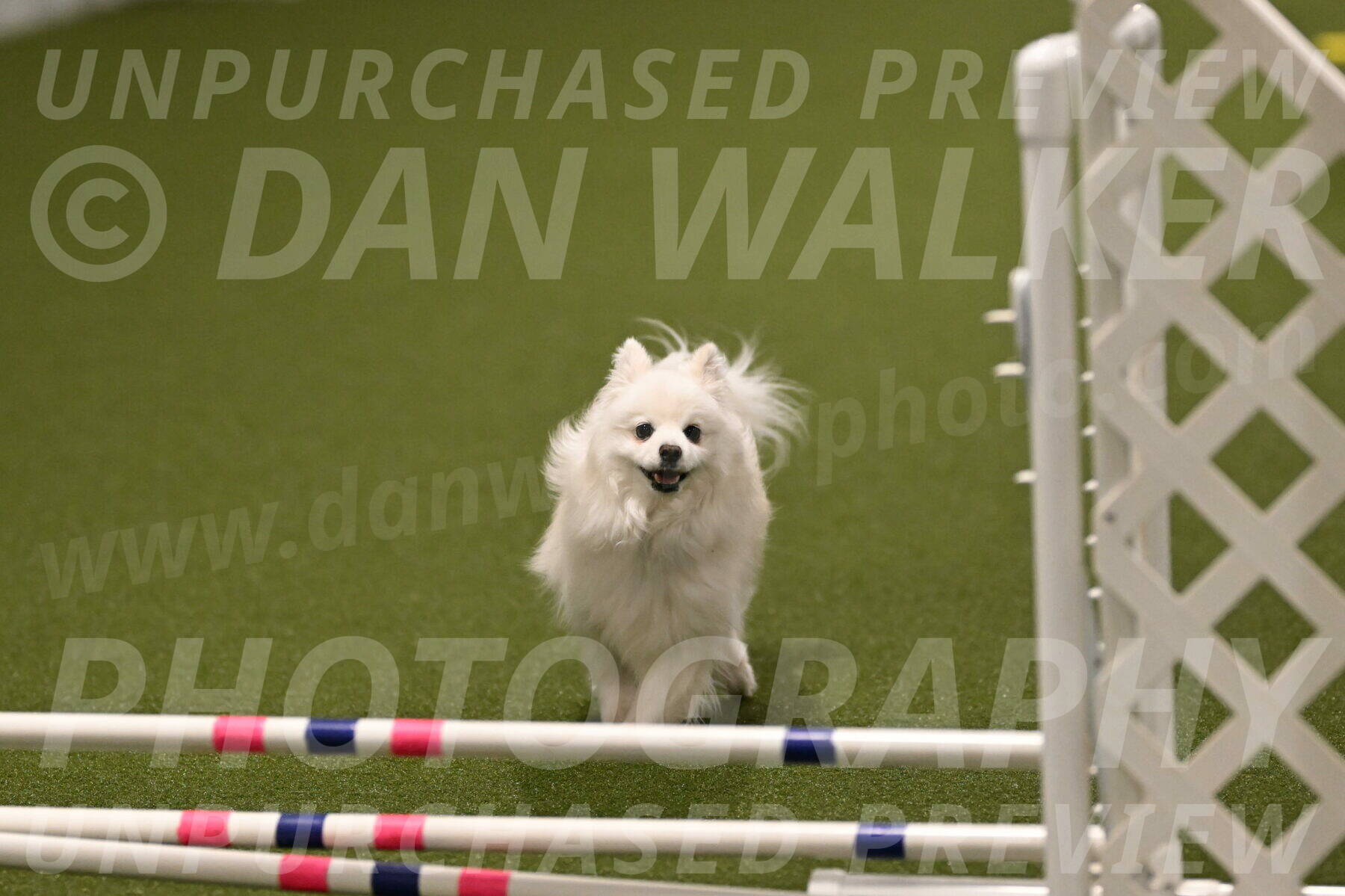 Zoey-Denise-Schneider-08582