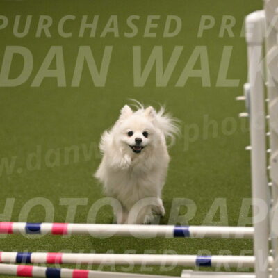 Zoey-Denise-Schneider-08582