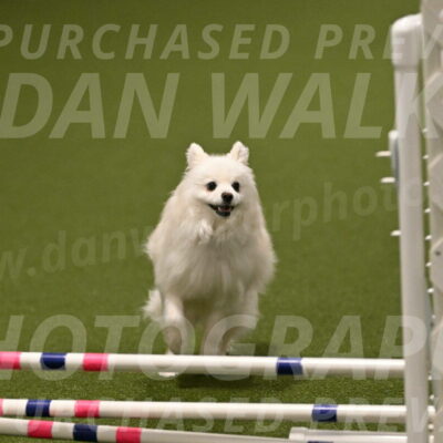 Zoey-Denise-Schneider-08583