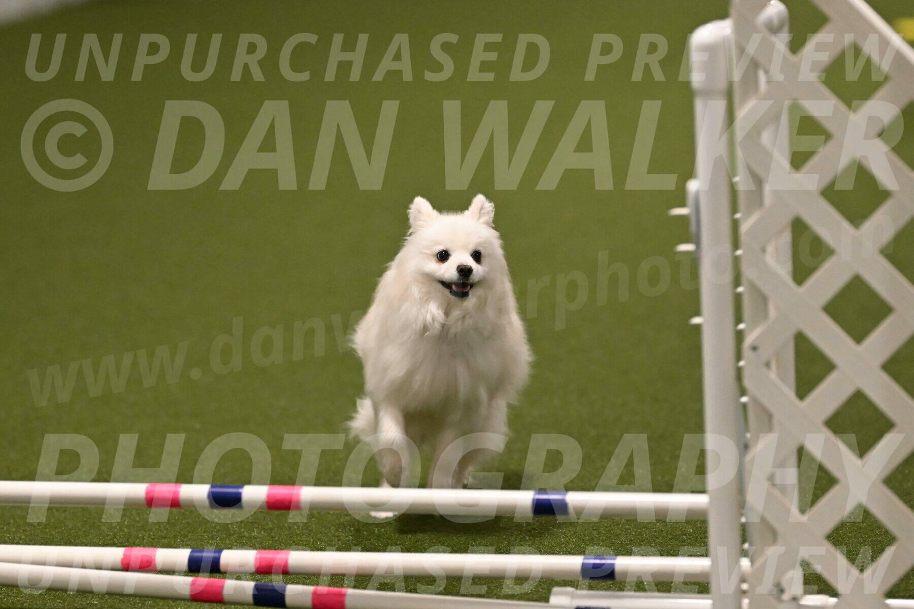 Zoey-Denise-Schneider-08583