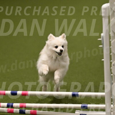 Zoey-Denise-Schneider-08584