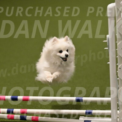 Zoey-Denise-Schneider-08585