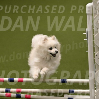 Zoey-Denise-Schneider-08586