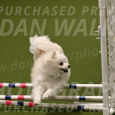 Zoey-Denise-Schneider-08587