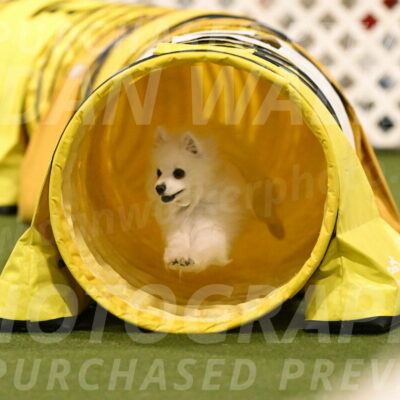 Zoey-Denise-Schneider-08588