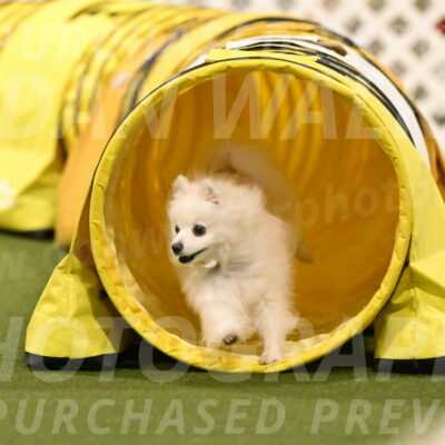 Zoey-Denise-Schneider-08589