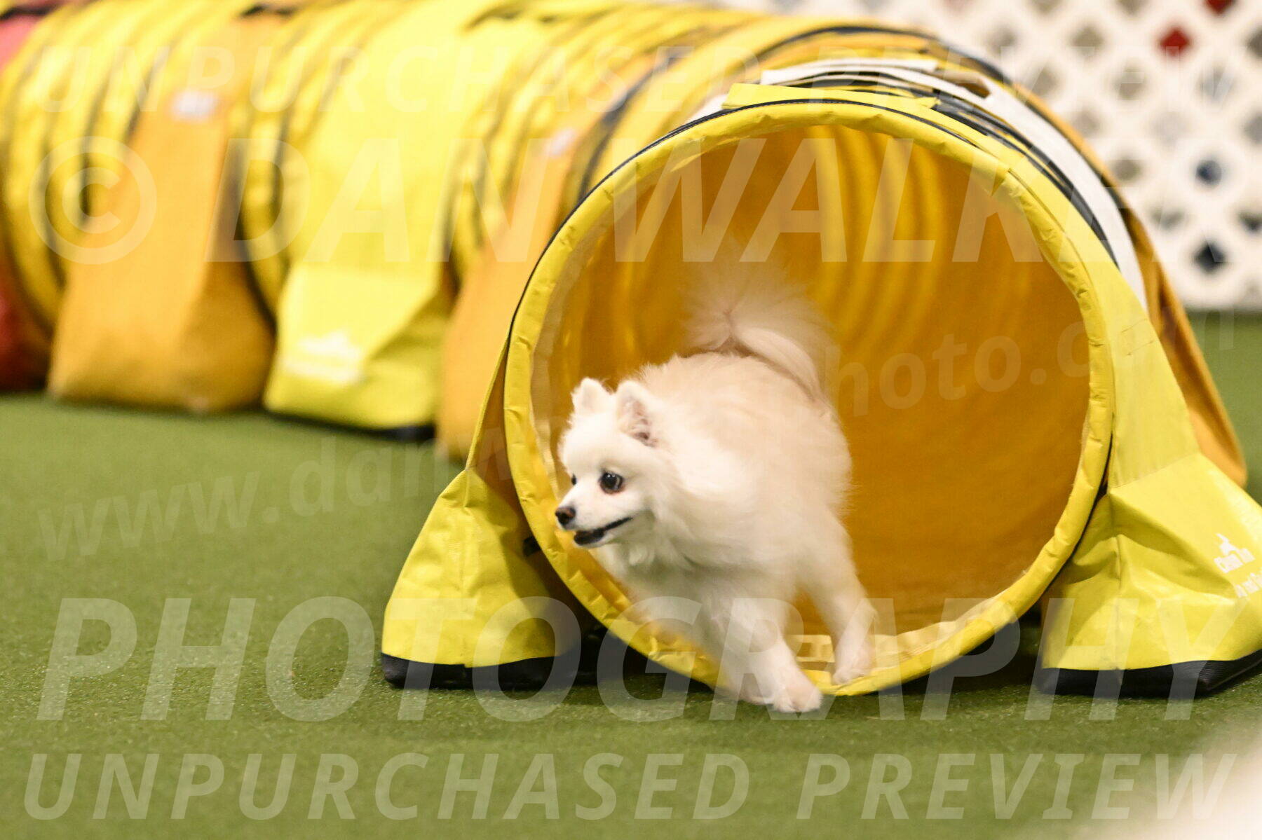 Zoey-Denise-Schneider-08590