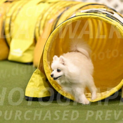 Zoey-Denise-Schneider-08590