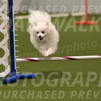 Zoey-Denise-Schneider-08591