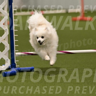 Zoey-Denise-Schneider-08592