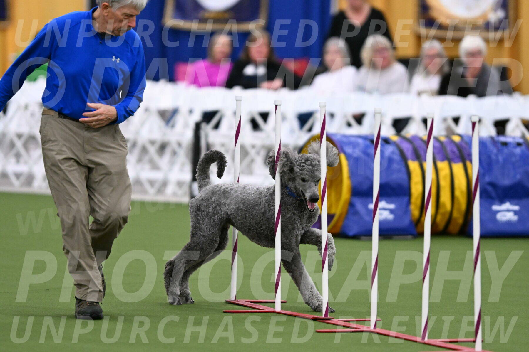 DJW_1730