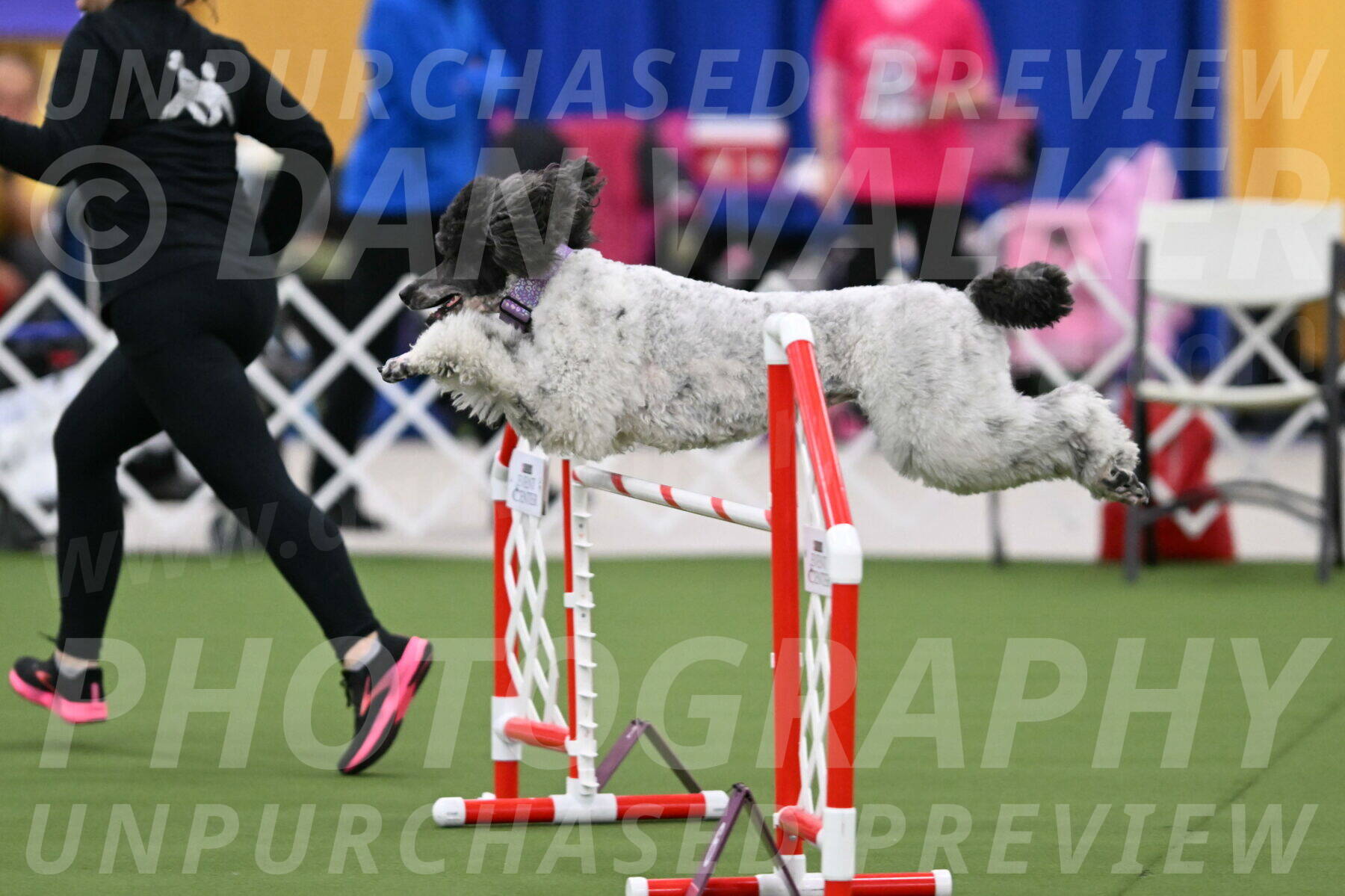 DJW_0255