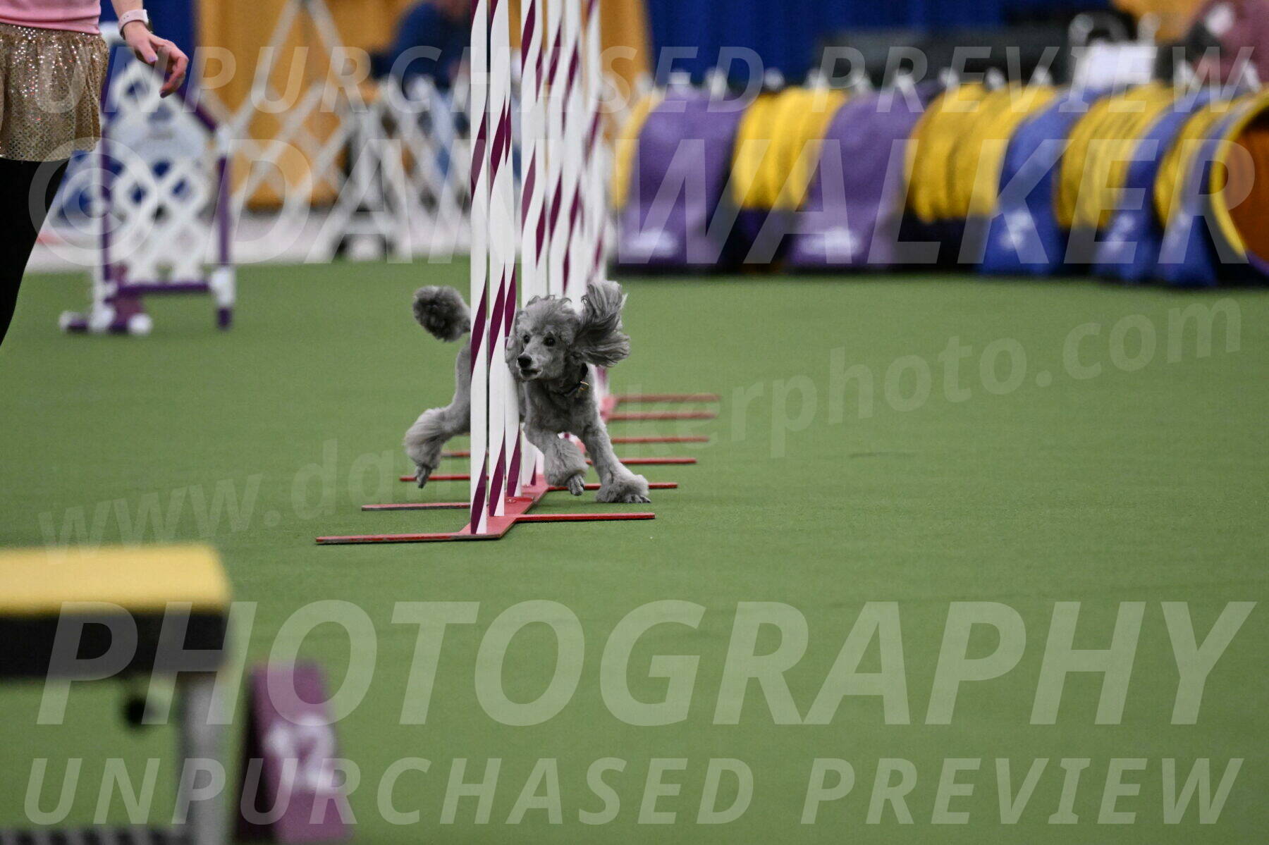 DJW_4022
