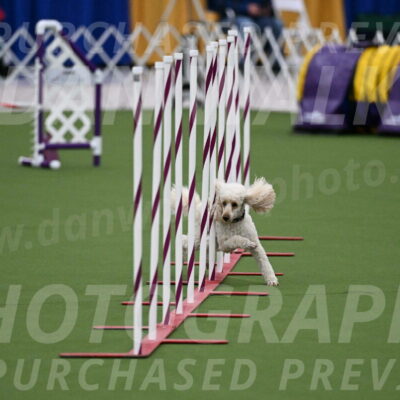 DJW_3019
