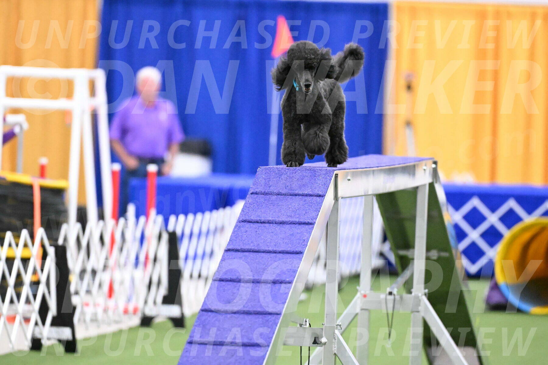 DJW_3297