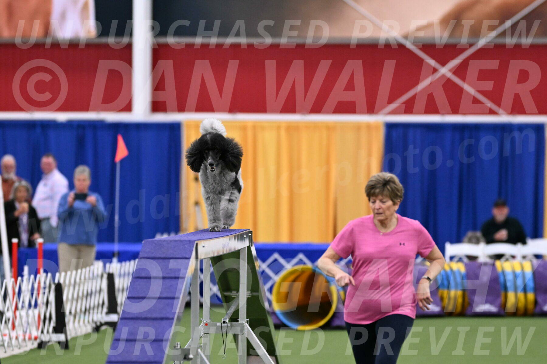 DJW_2431
