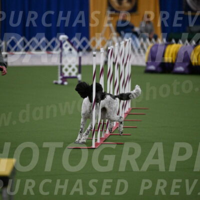 DJW_1498