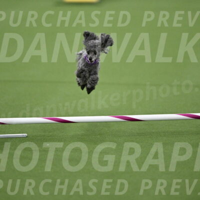 DJW_7746
