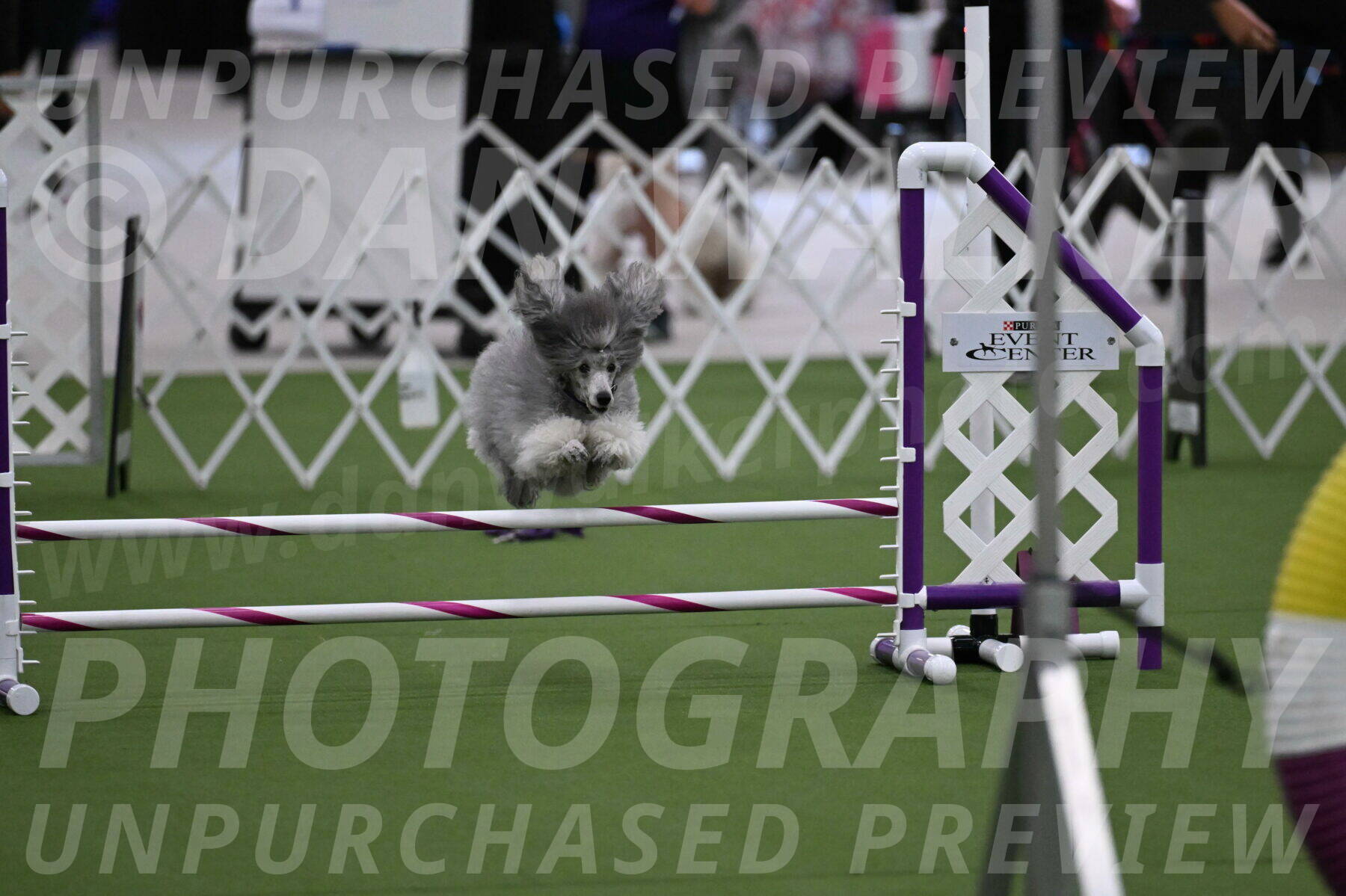 DJW_9281