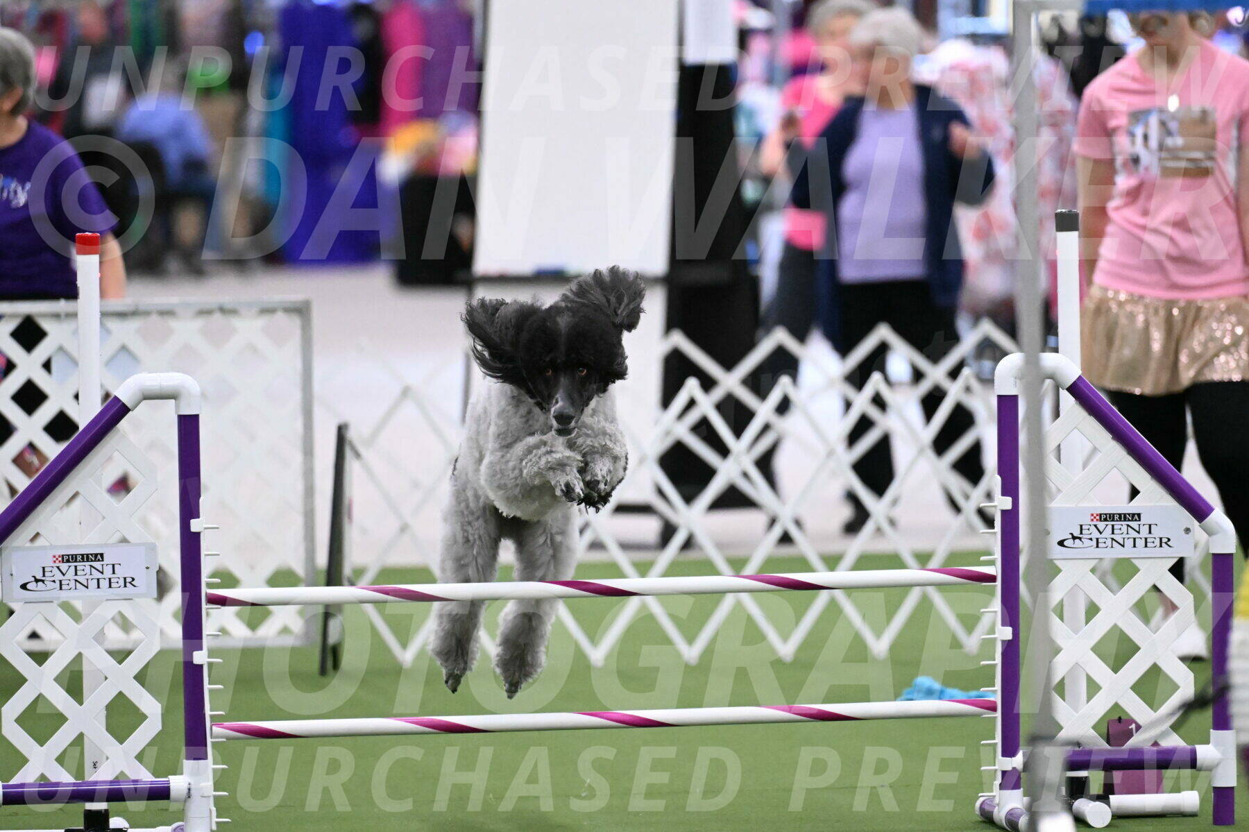 DJW_7780