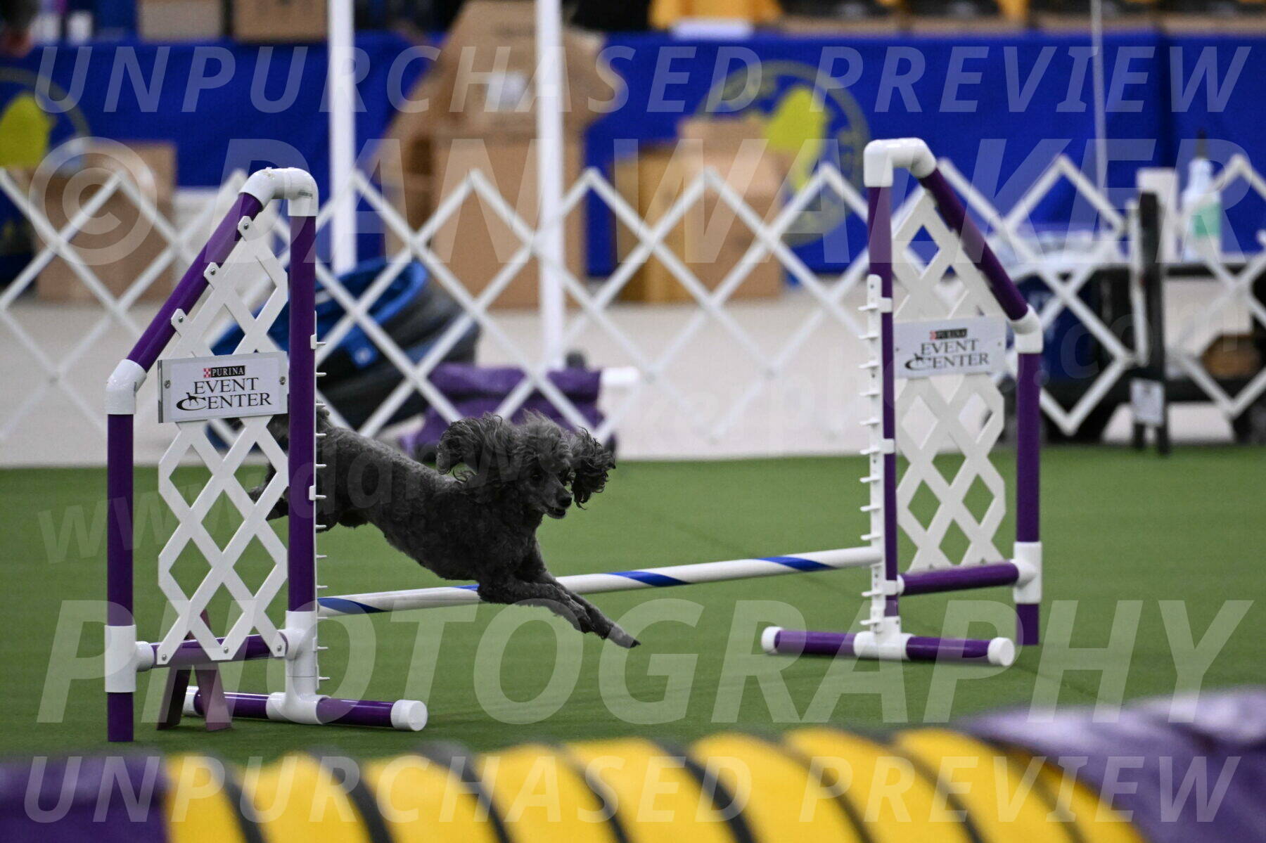 DJW_0665