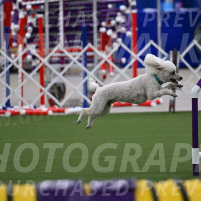 DJW_0865