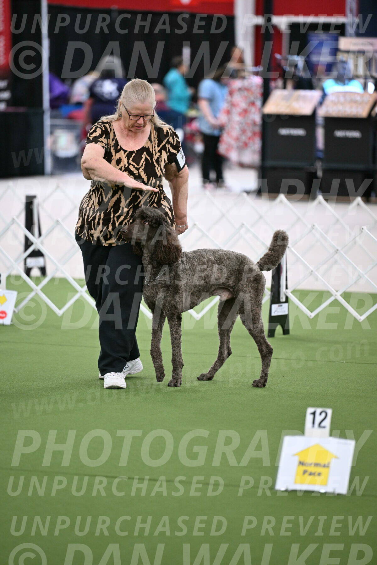 DJW_0695