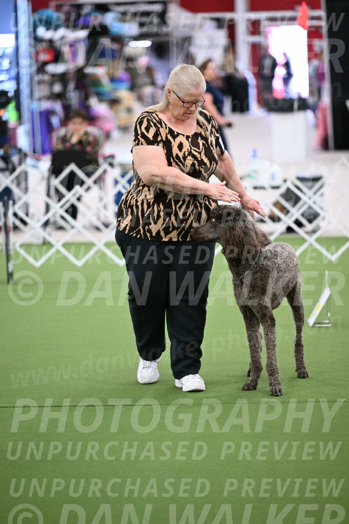 DJW_0748