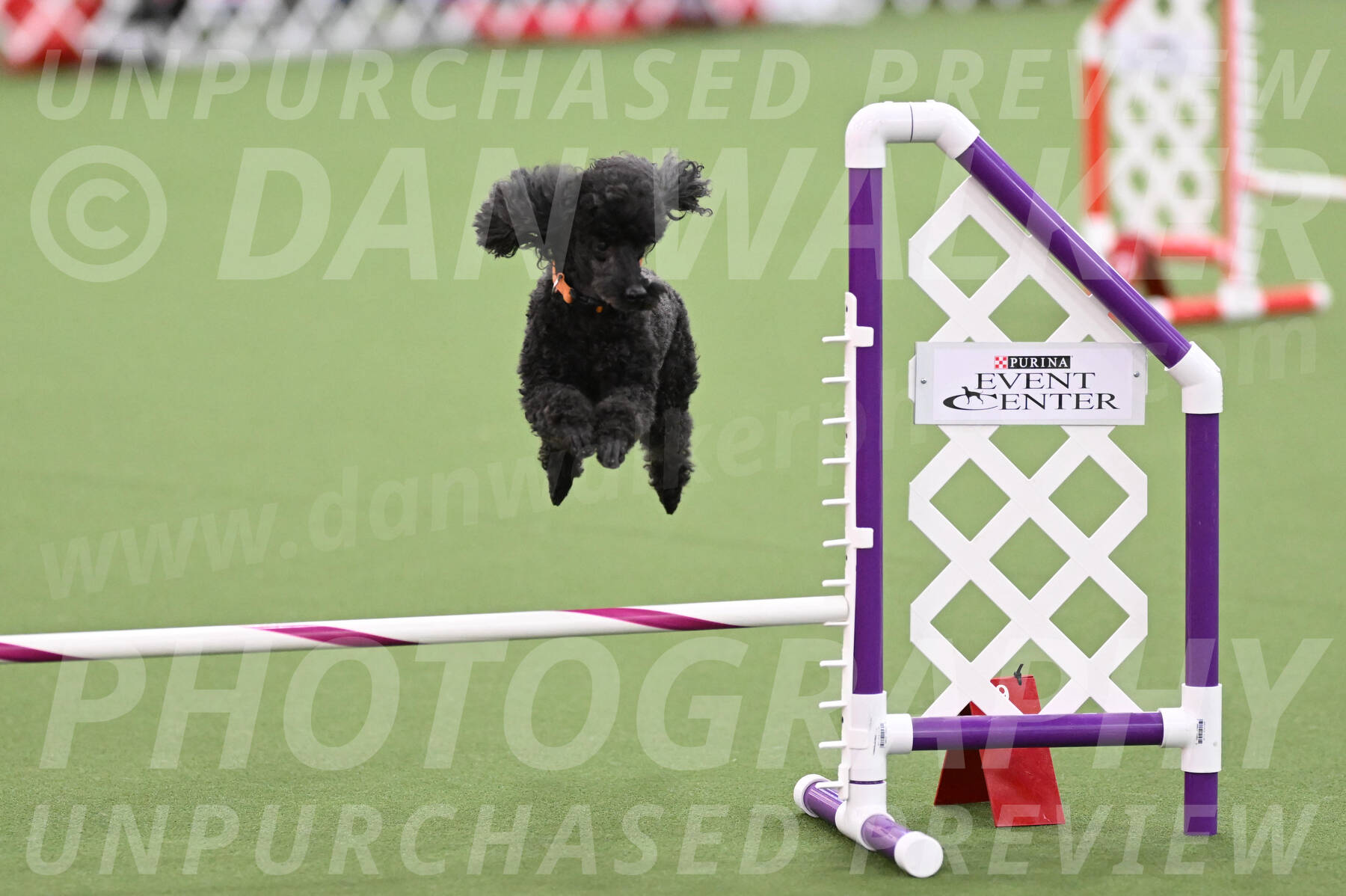 PCA2026-05535