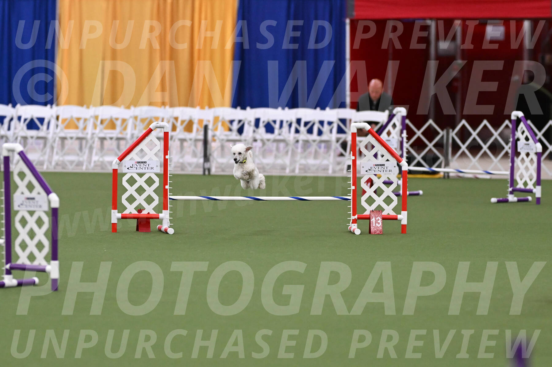 PCA2026-05556