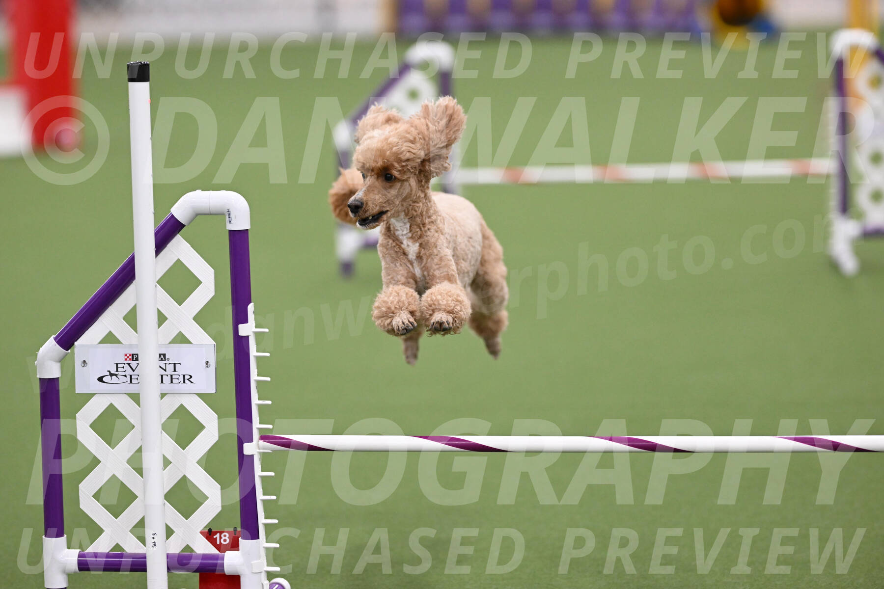 PCA2026-05218