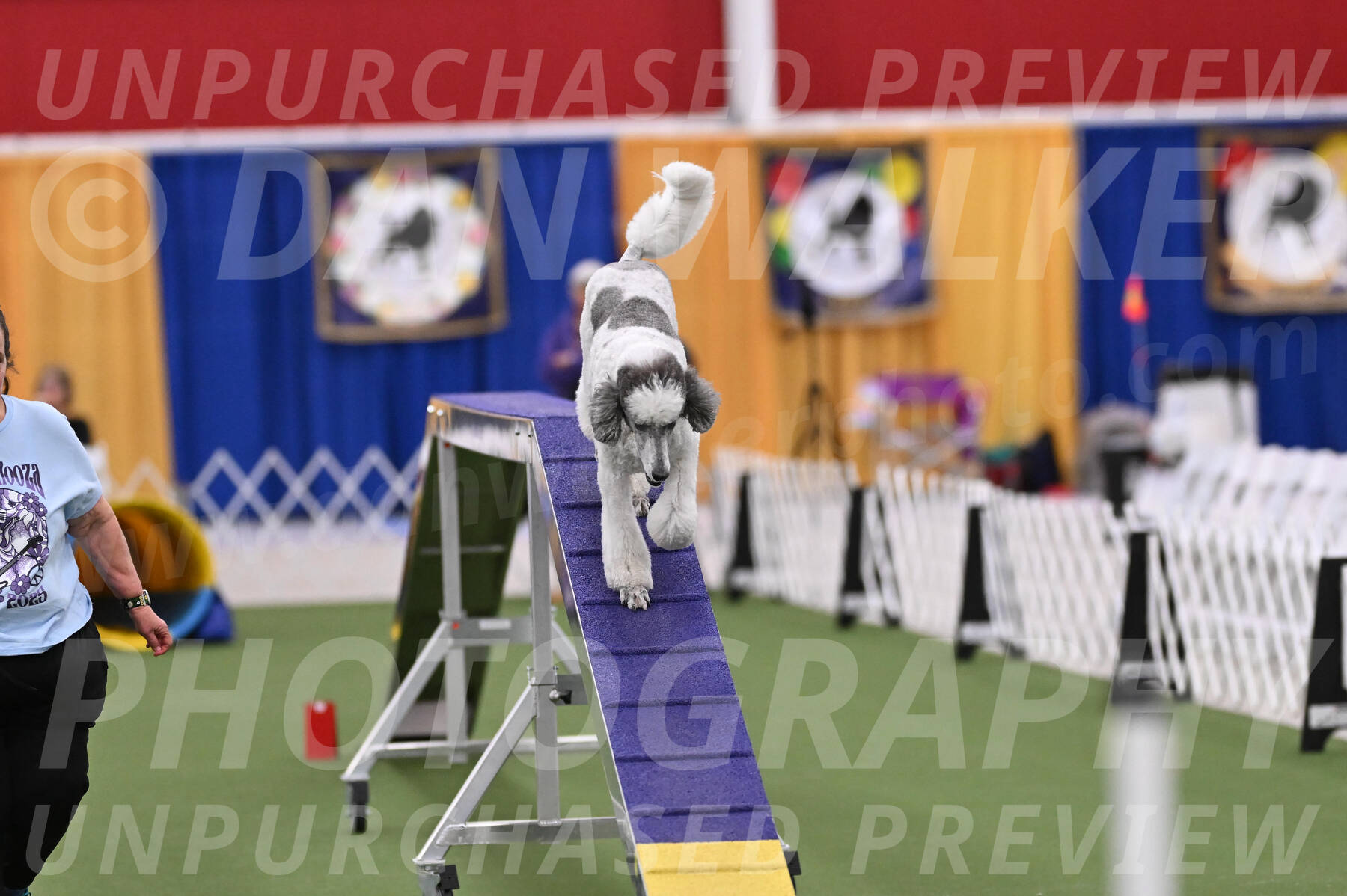 PCA2026-02513