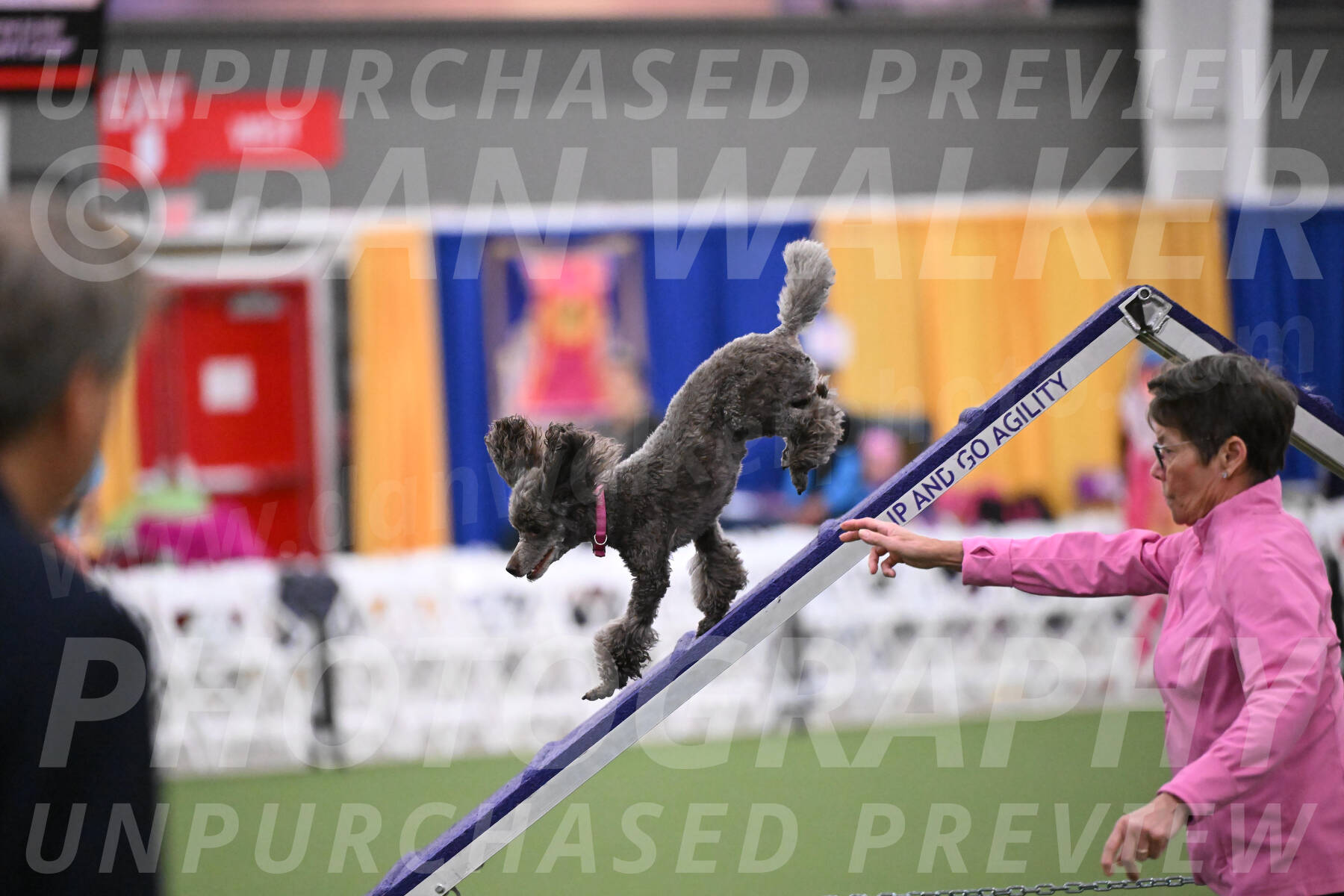 PCA2026-01694