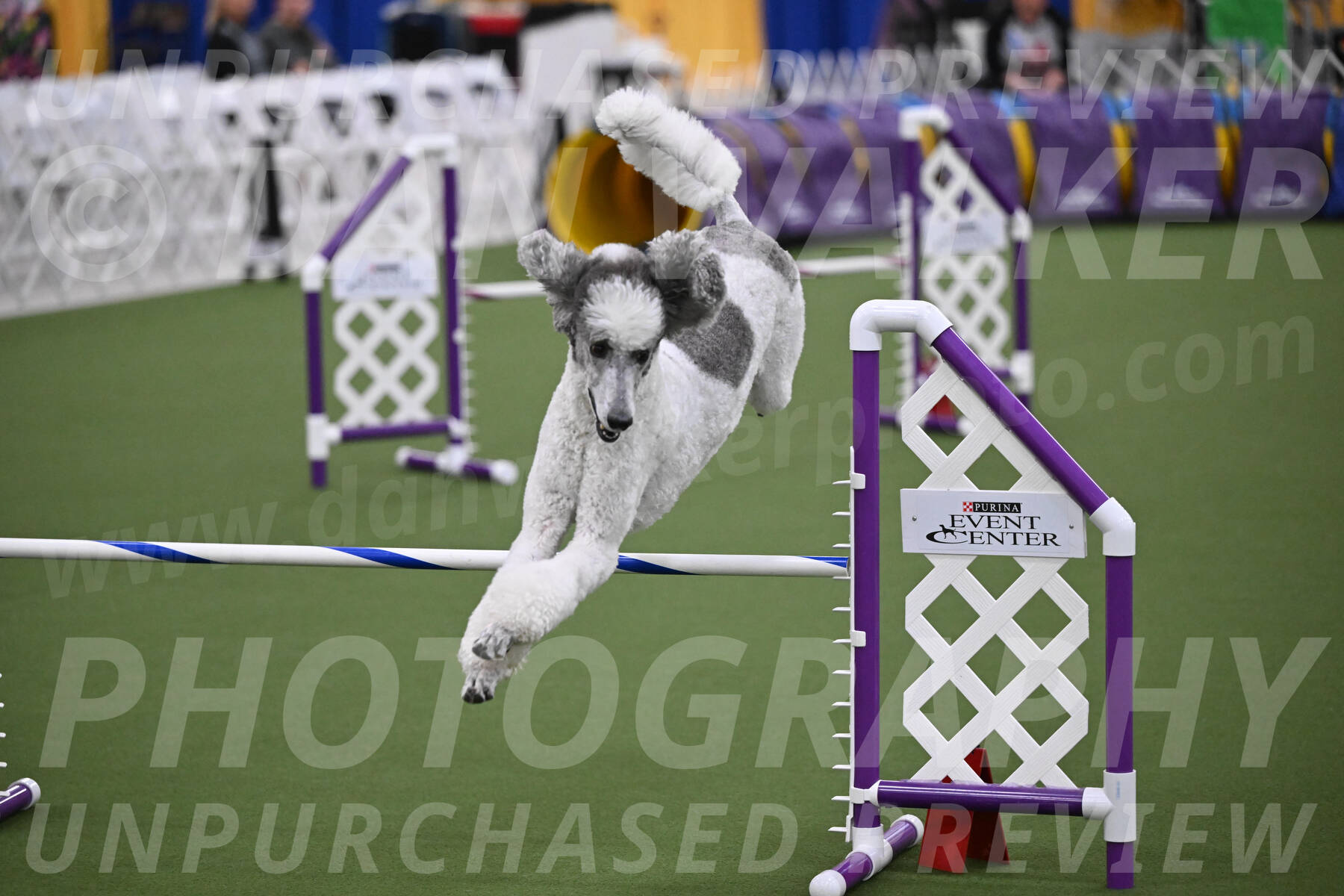 PCA2026-00704