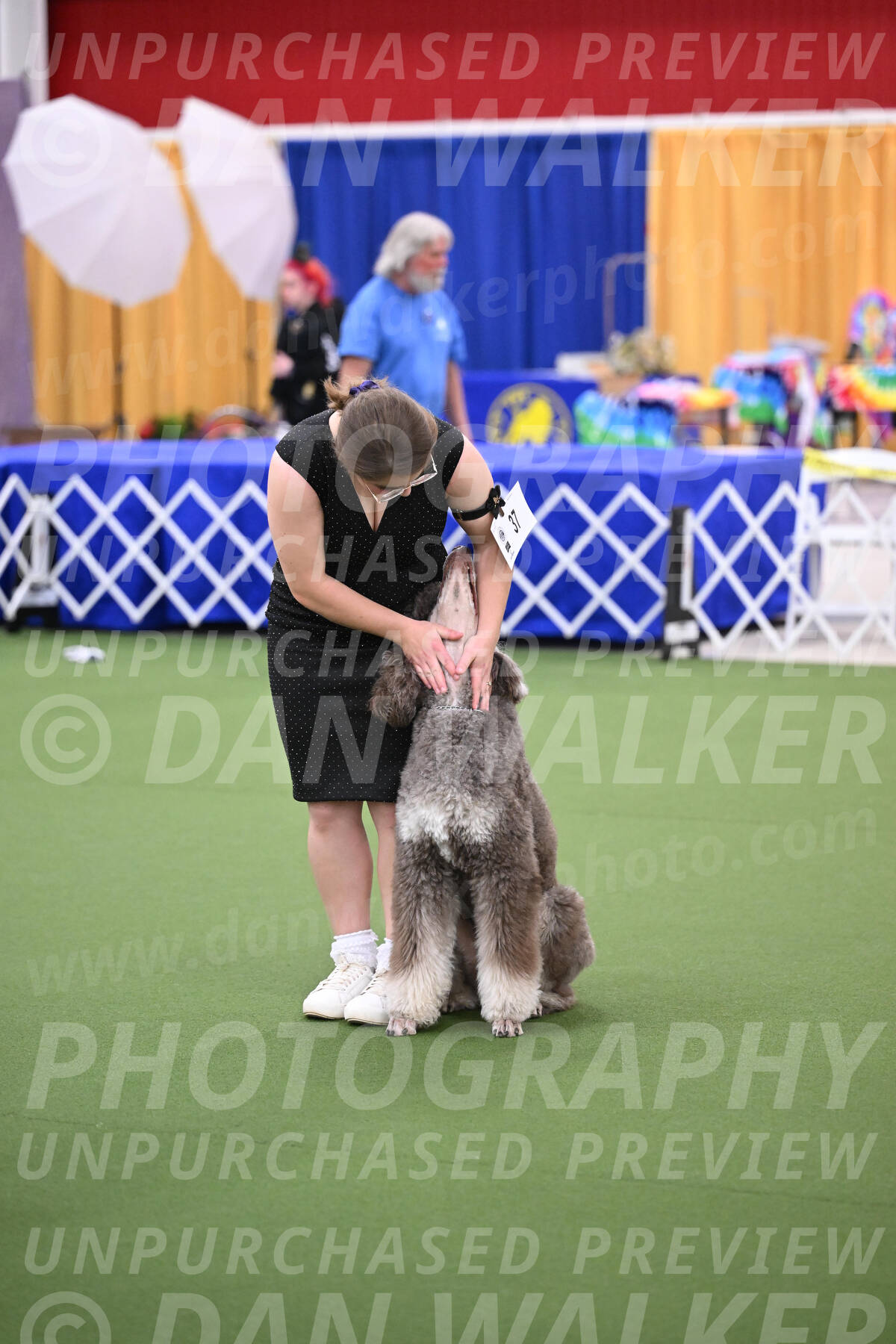 PCA2026-06710