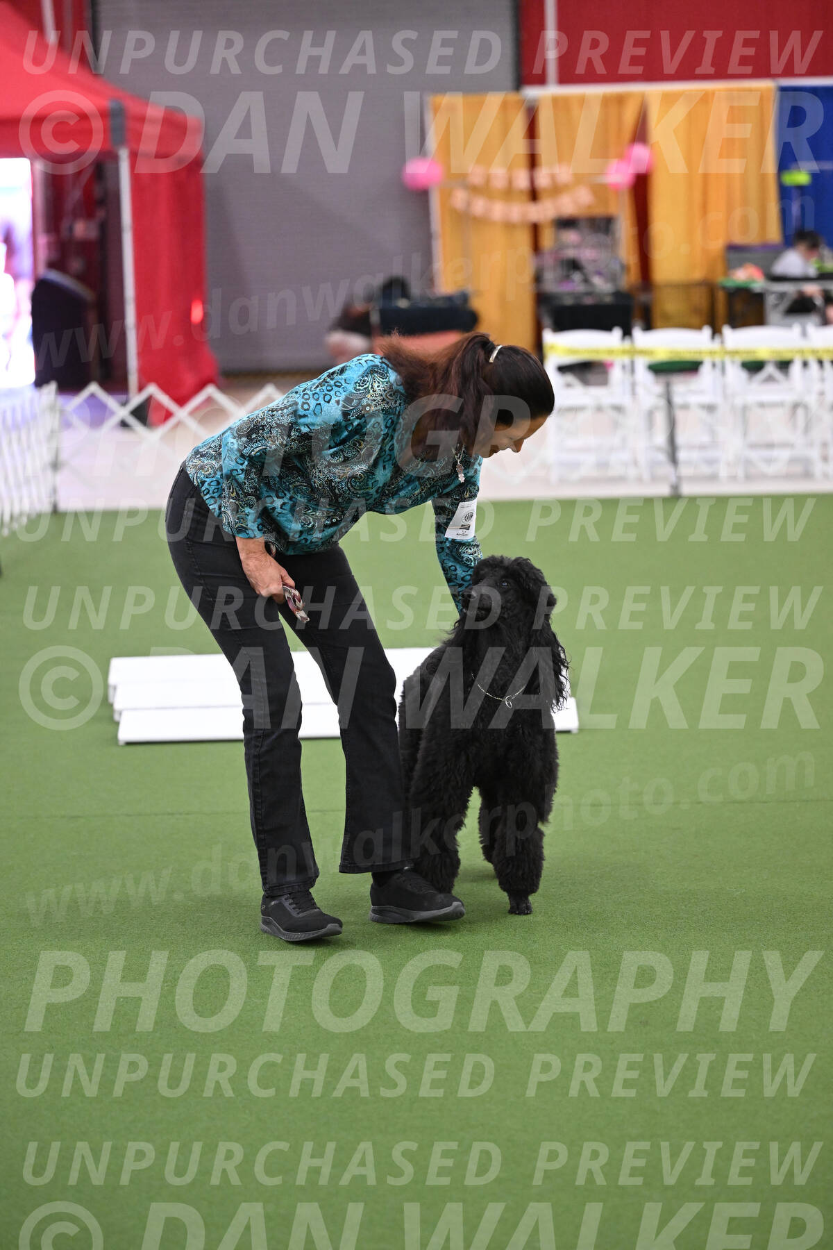 PCA2026-06914
