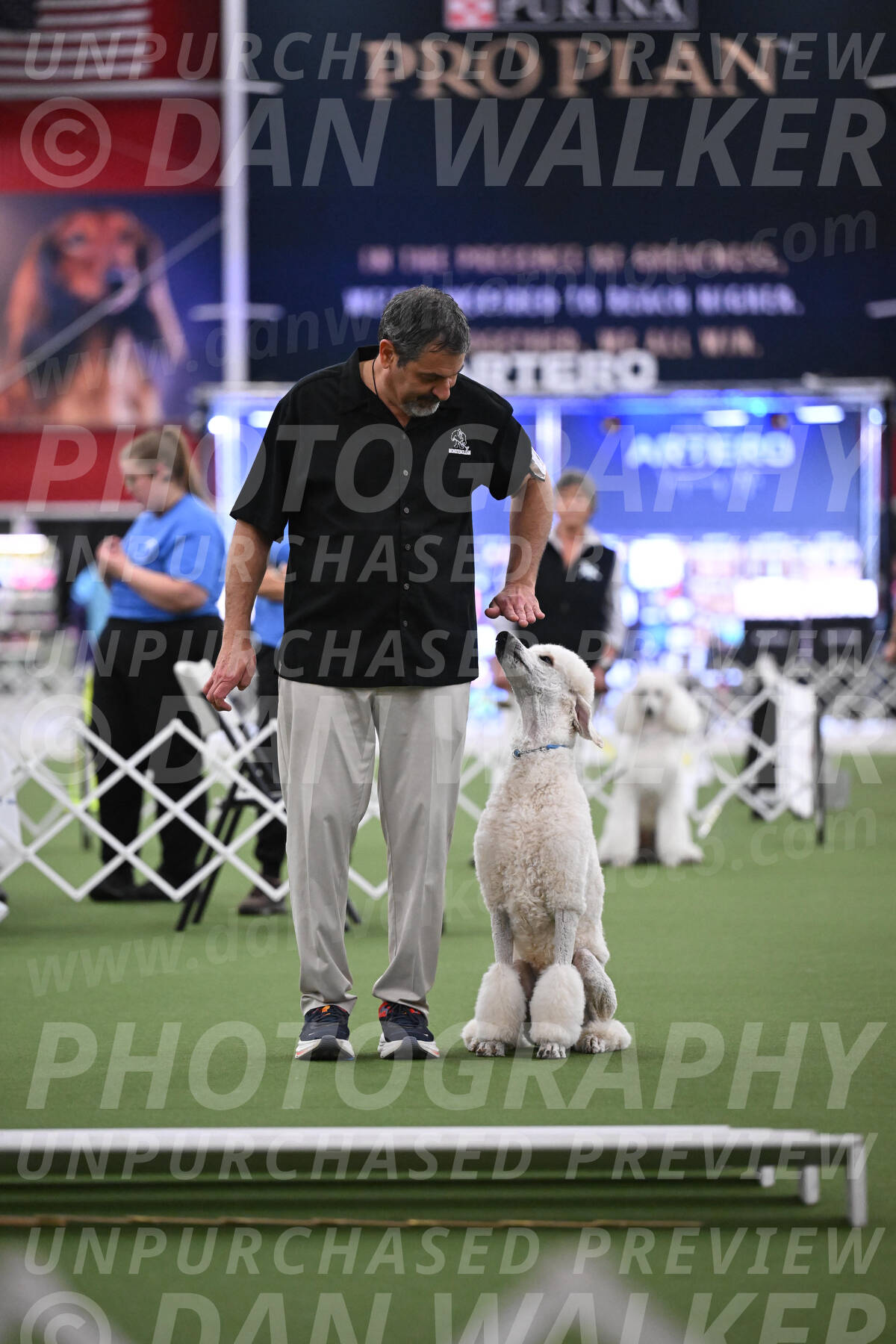 PCA2026-07365