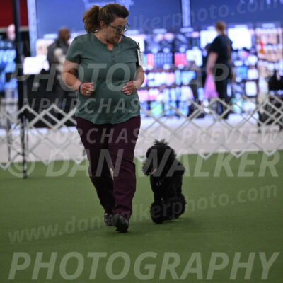 PCA2026-06822