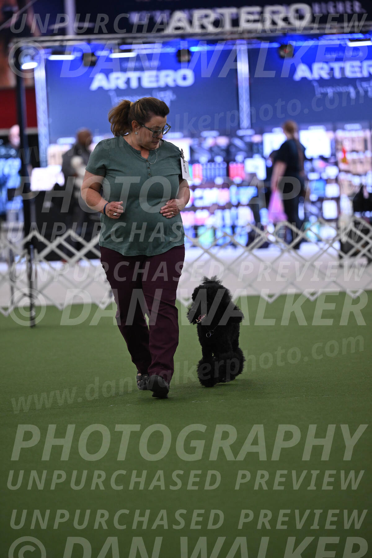 PCA2026-06822