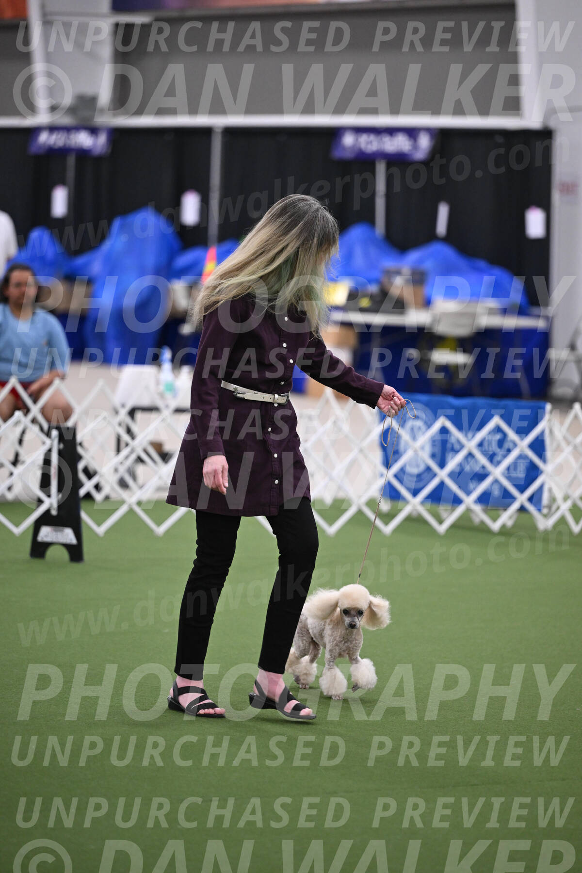 PCA2026-08540