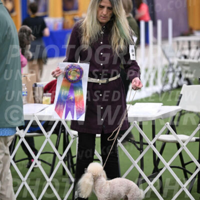 PCA2026-08568