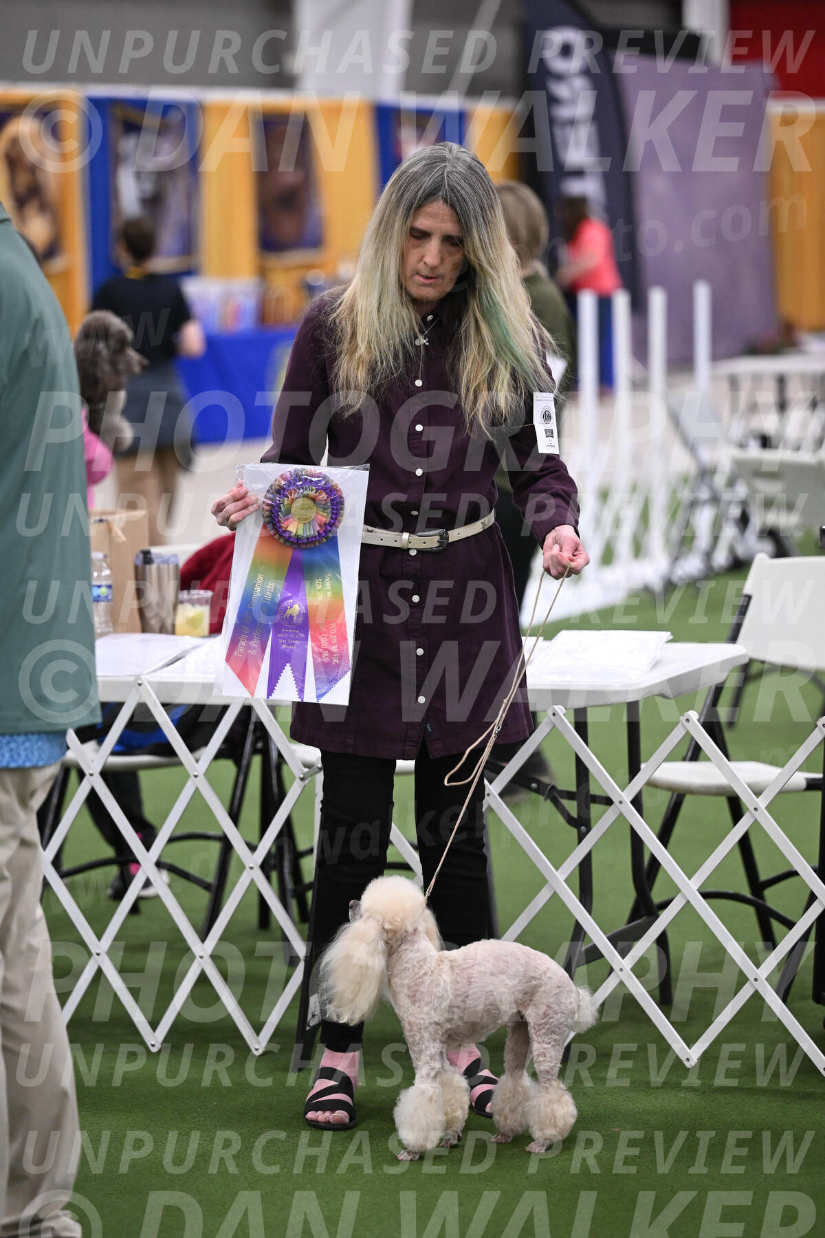 PCA2026-08568