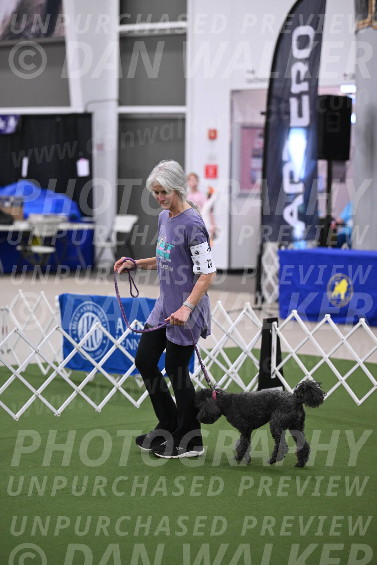 PCA2026-08587
